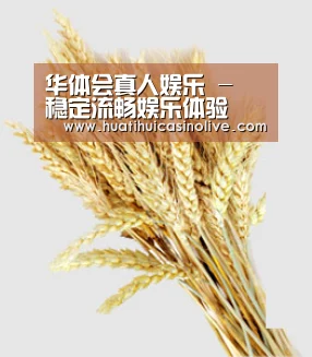 华体会真人娱乐 - 稳定流畅娱乐体验