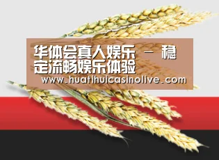 华体会真人娱乐 - 稳定流畅娱乐体验
