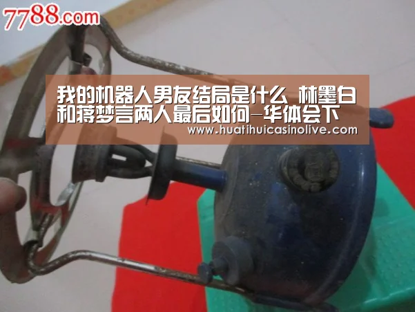 我的机器人男友结局是什么 林墨白和蒋梦言两人最后如何-华体会下载(图3) 华体会真人